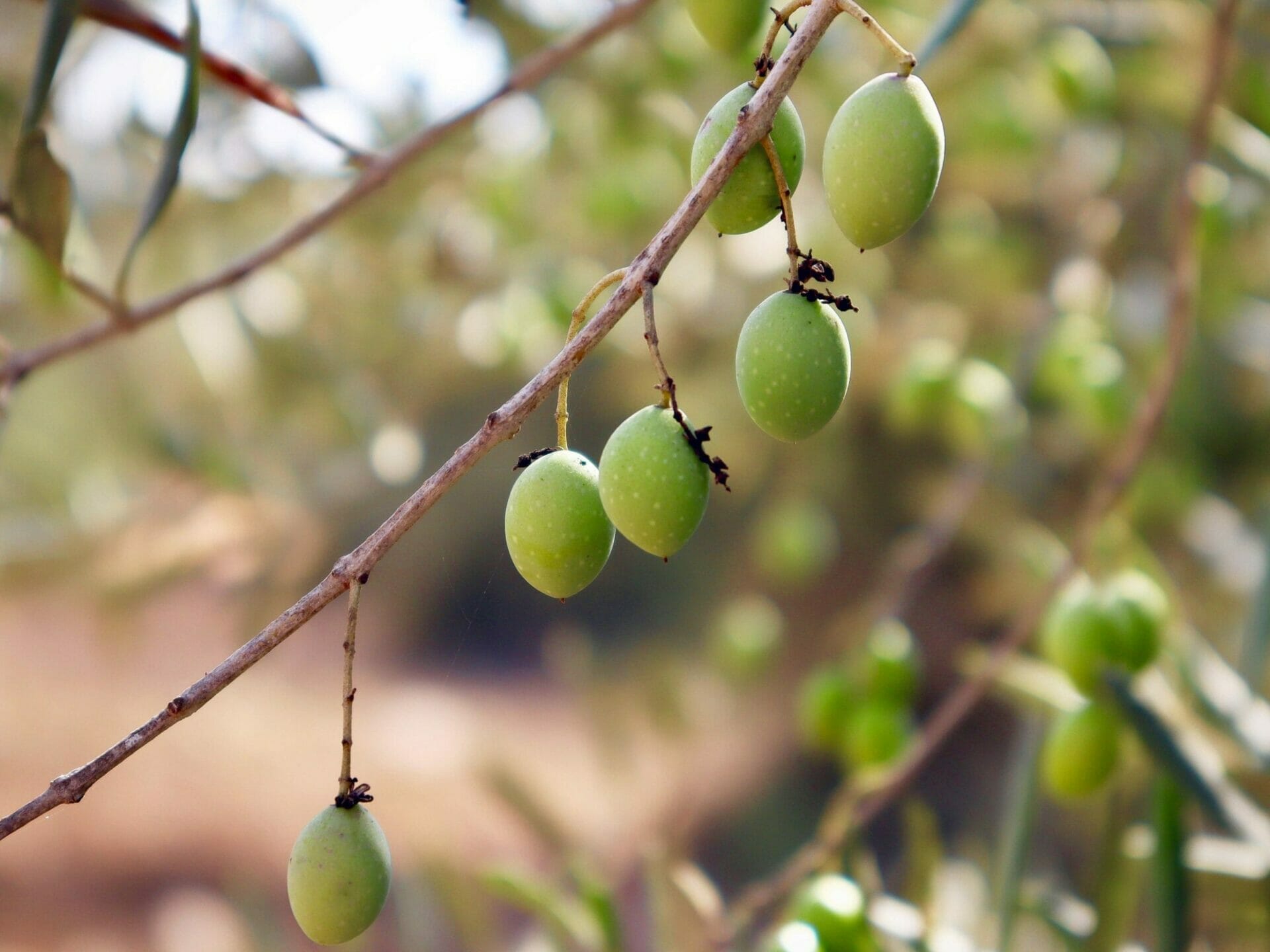 7EDB6912-CD6A-4A18-9757-64AF215C37F6