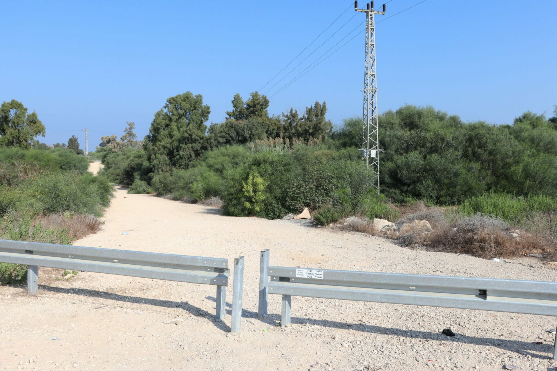 Holot Zikim