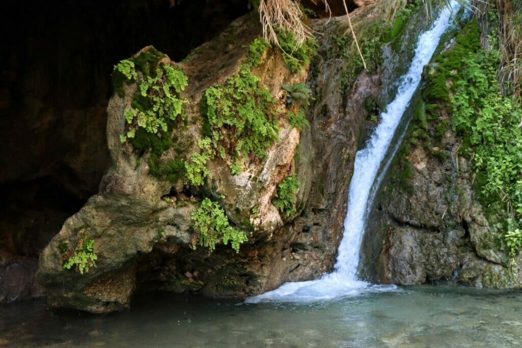 Ein Gedi at Dodim Cave