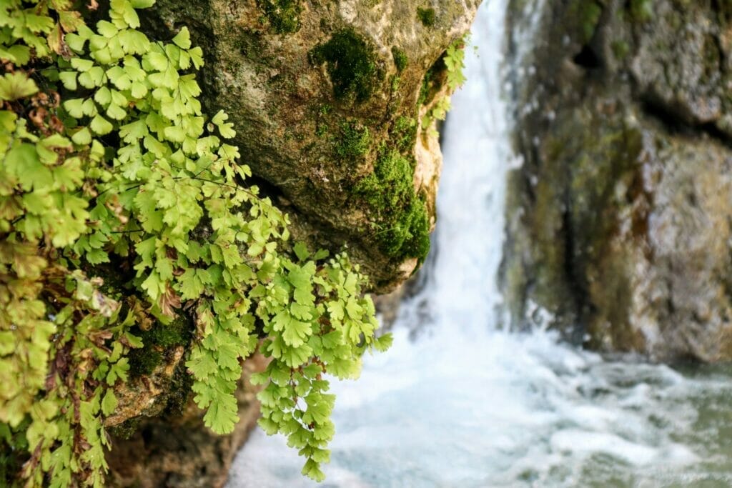 Ein Gedi Spring and Dodim Cave