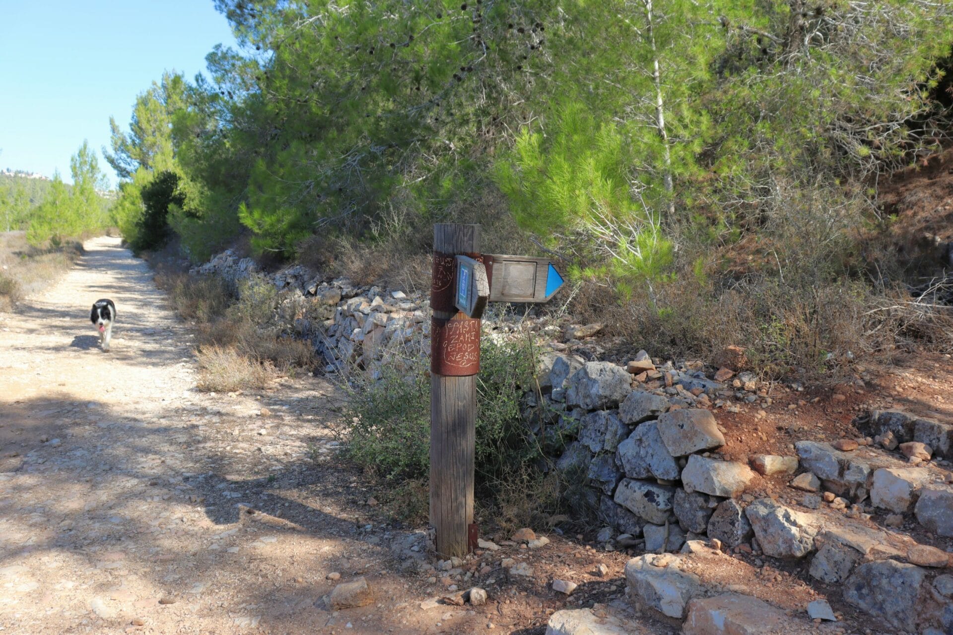 Hadassah Trail