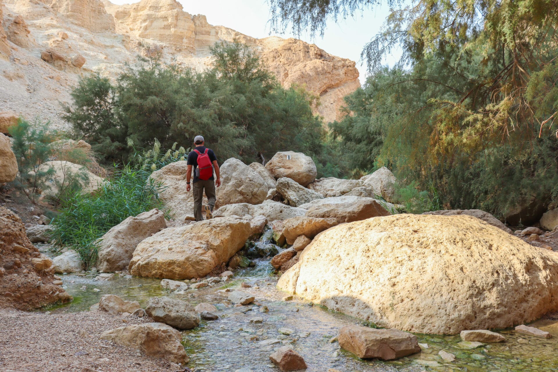 Nahal Bokek hike.