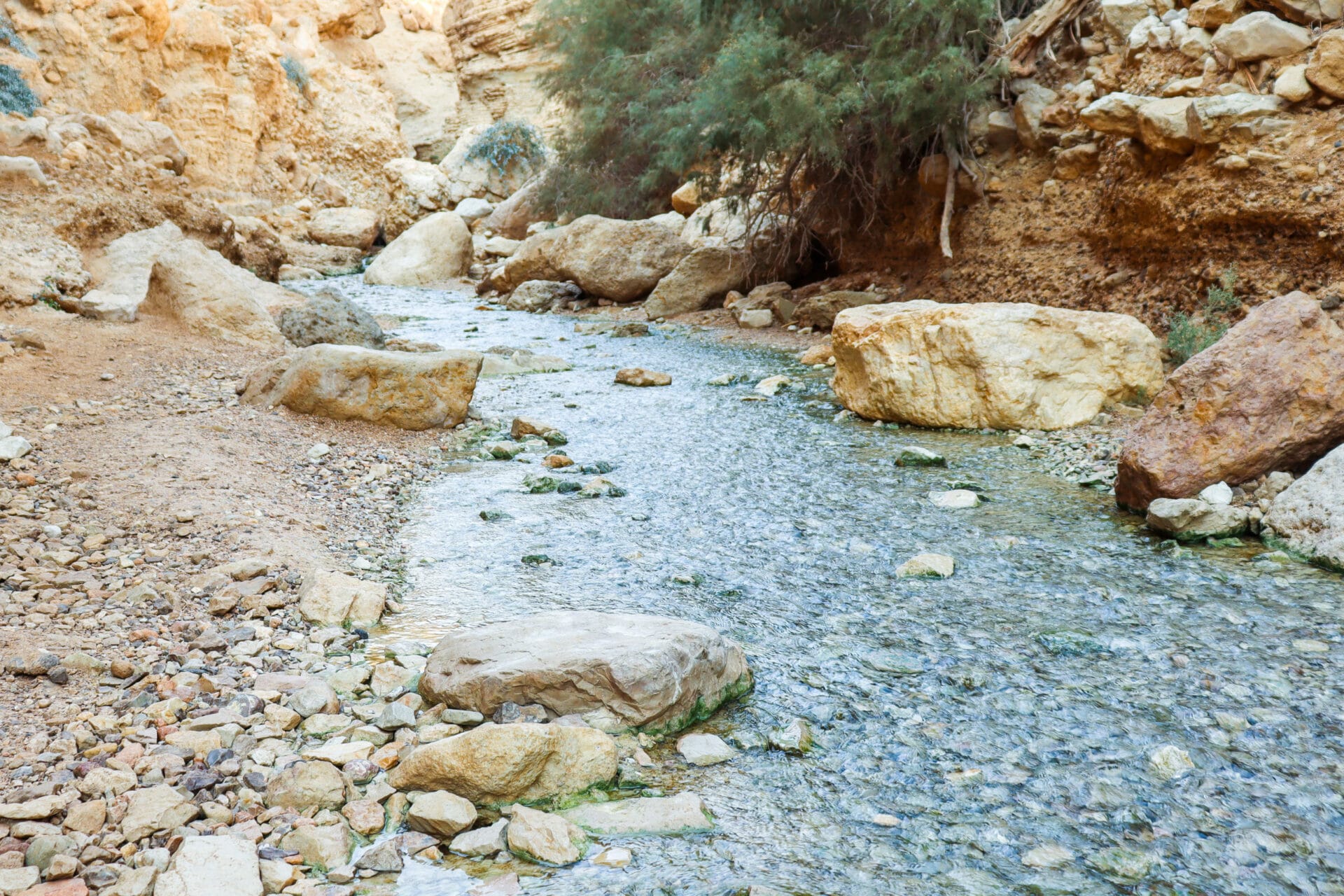 Nahal Bokek hike.