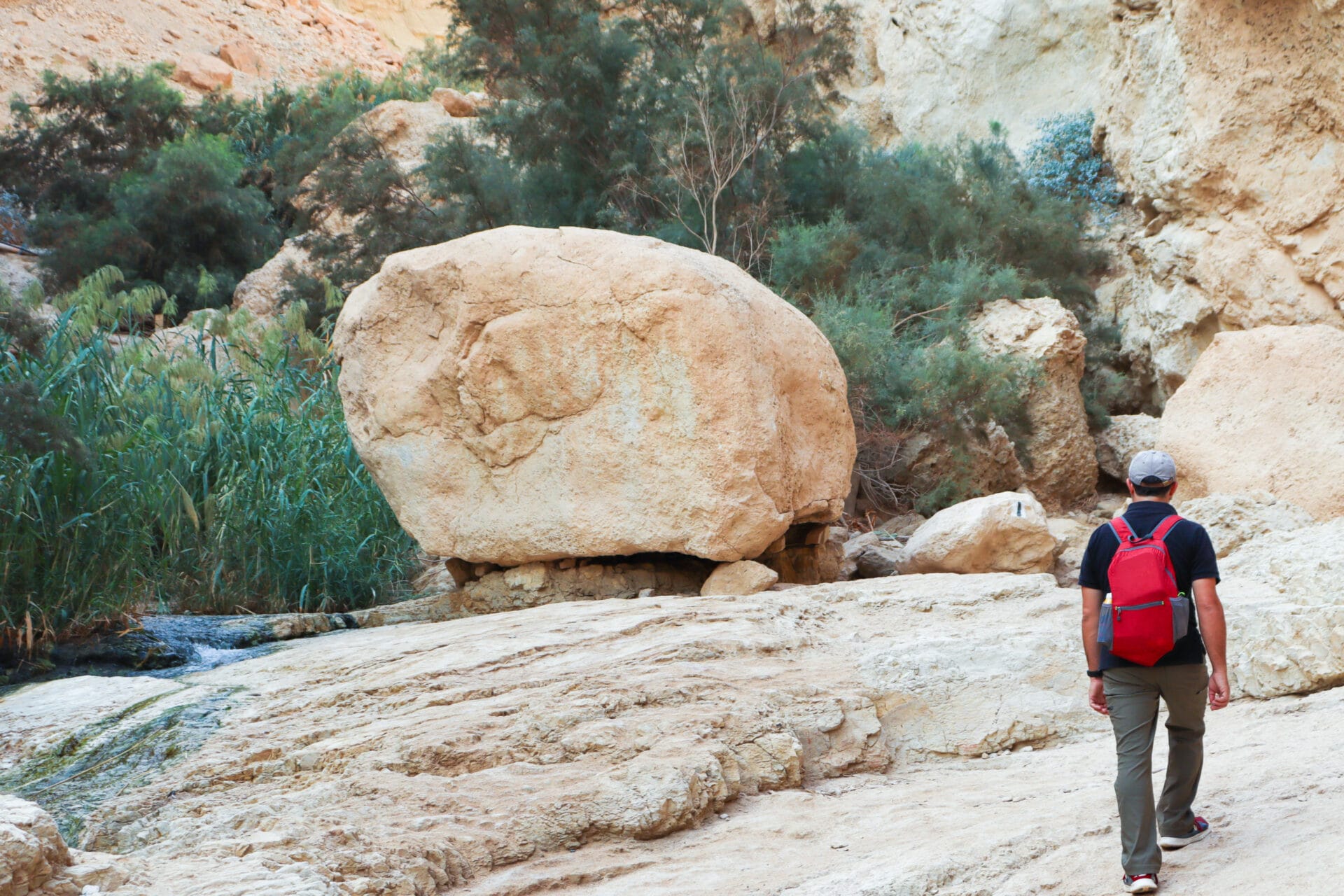 Nahal Bokek hike.