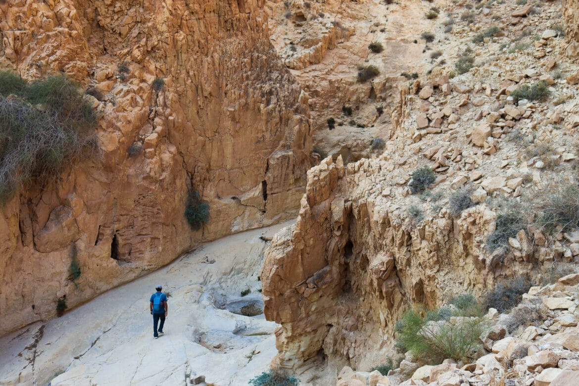 From Arad to Nahal Abuv