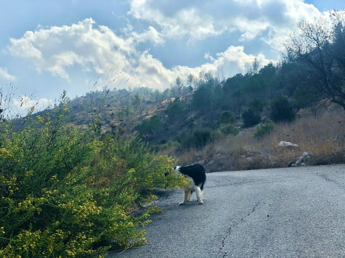 Nahal Yitla – The Long Way Around