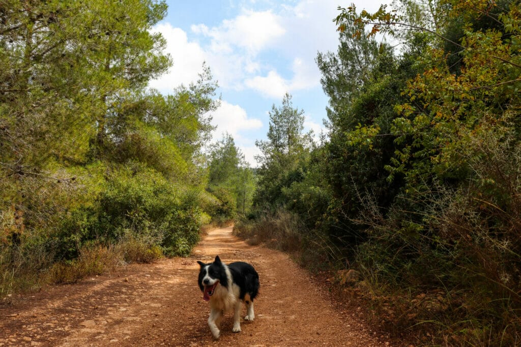 Nahal Yitla Long.