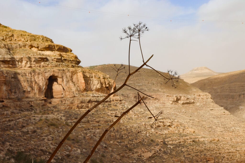 Nahal Tekoa and Haritoun Cave