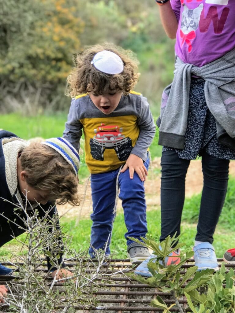 Borot and Be'erot Hanukkah 2019