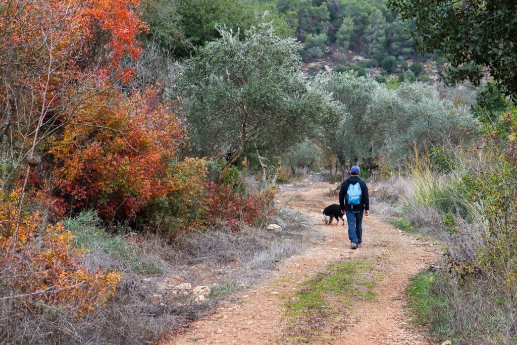 Sataf Forest hike.