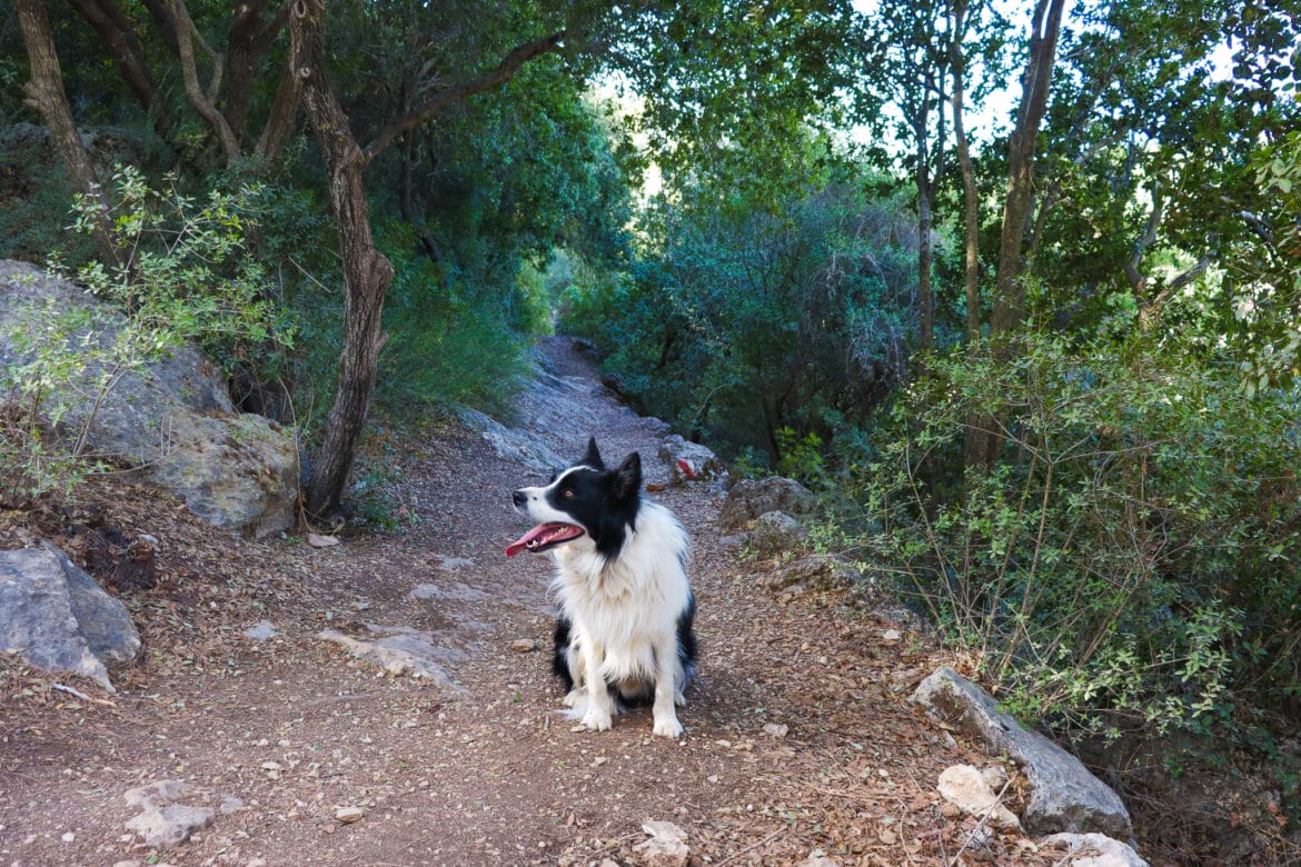 From Derech HaCaesar to Nahal Sansan