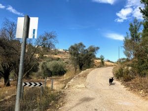 Hadassah Trail.
