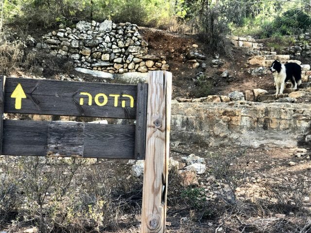 Hadassah Trail