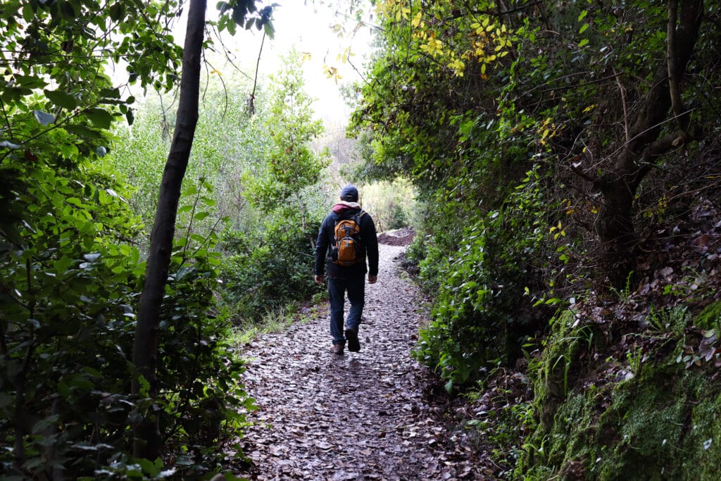 Nahal Amud hike