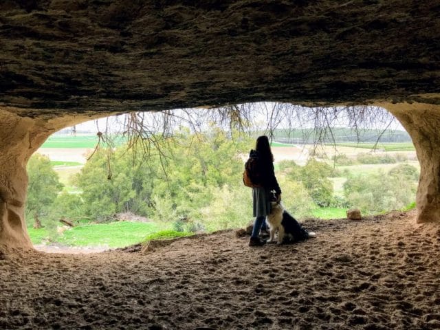 Kid Friendly Hike