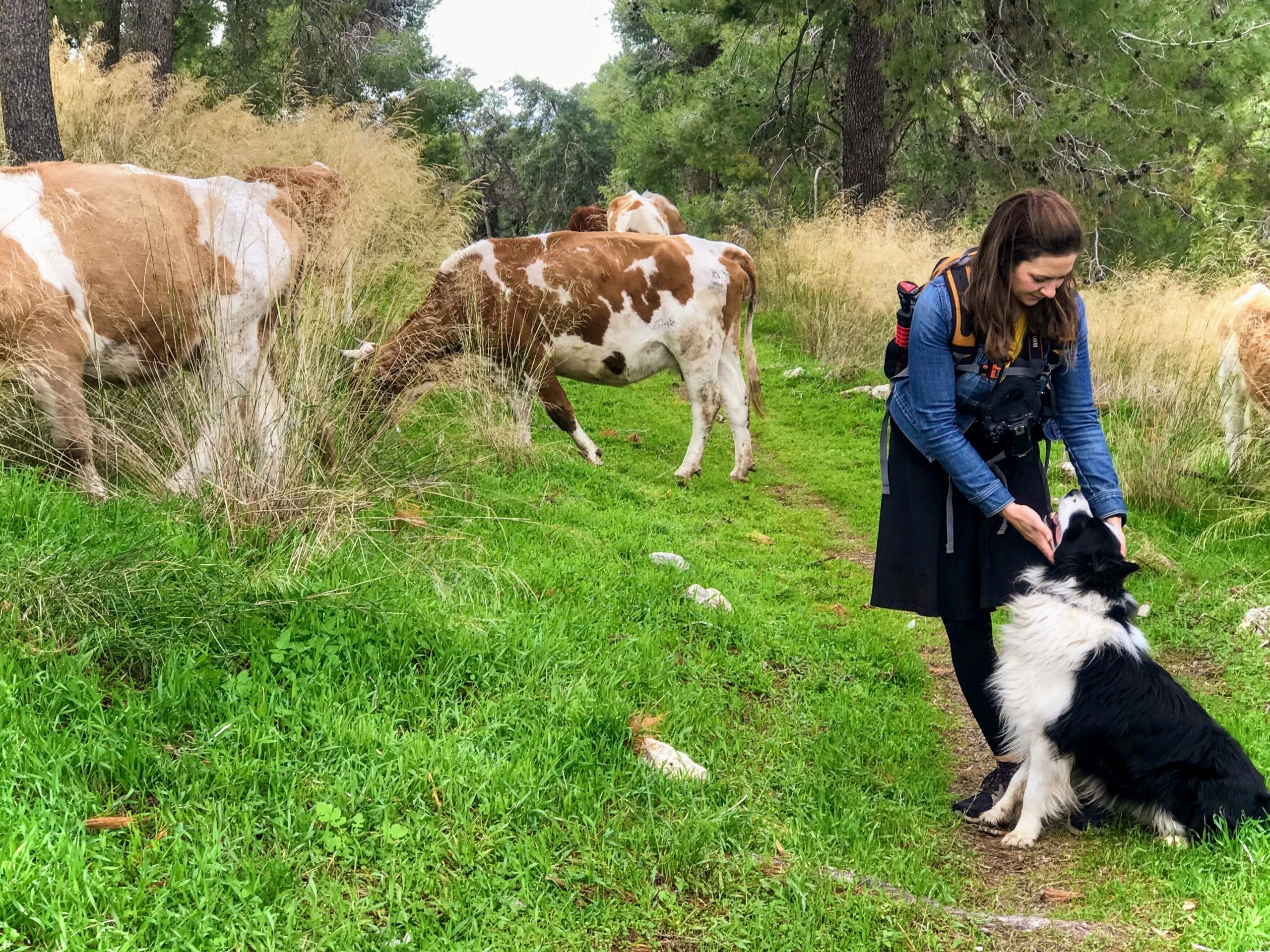 Hikes in ISrael for 4 generation families