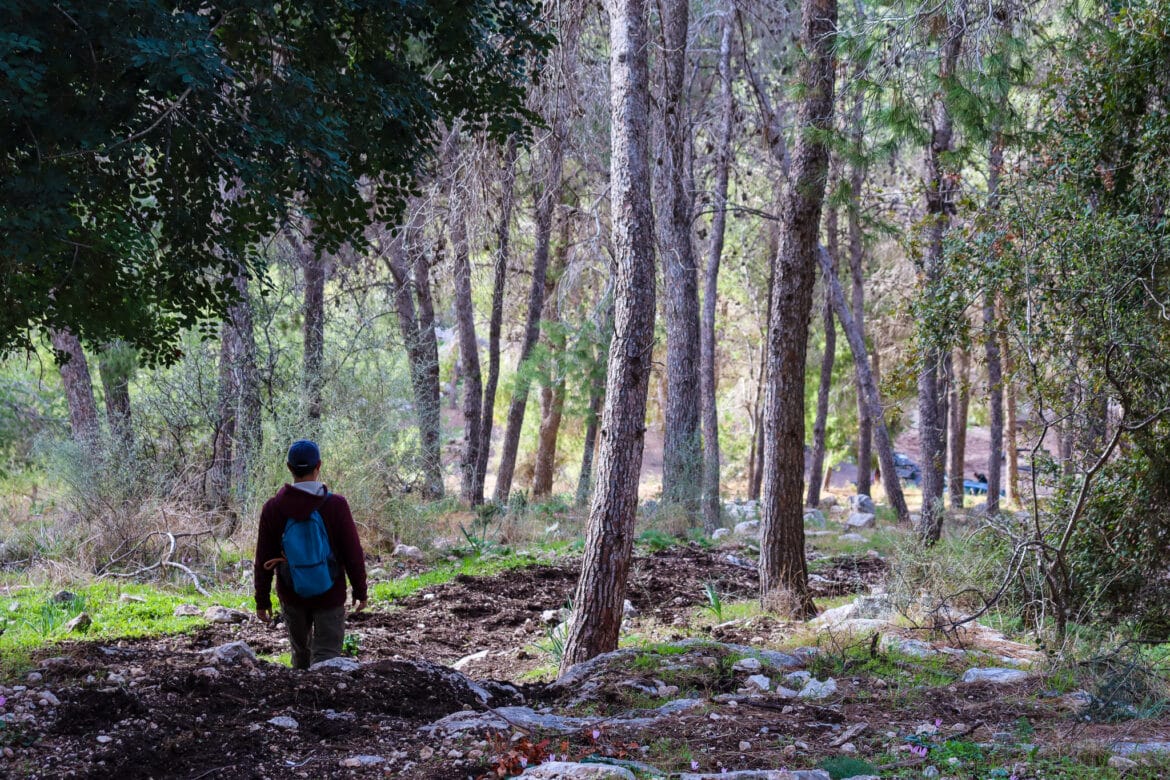 Tzora Forest 6K Loop Trail Through the Woods Hiking the Holyland