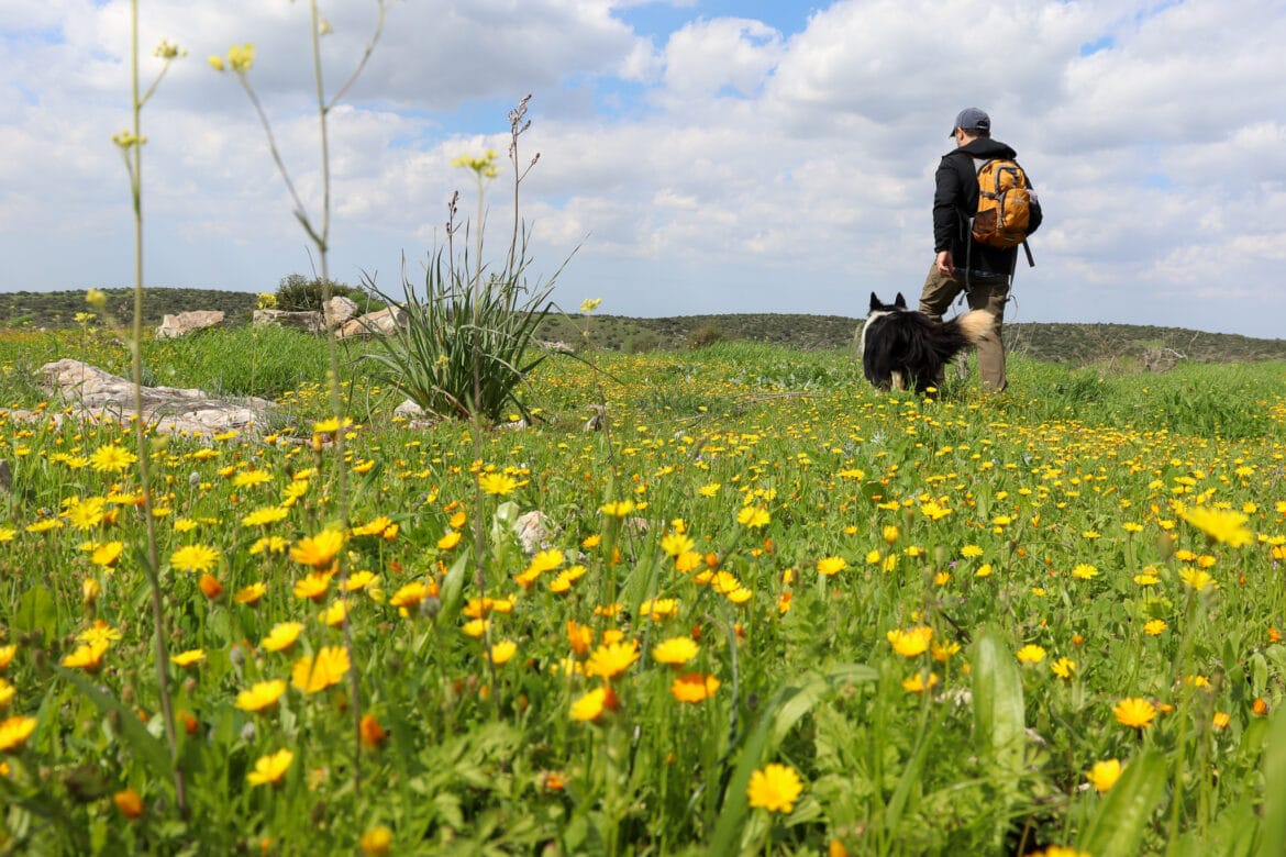 Simple Pleasures – Einav Trail in Park Britannia