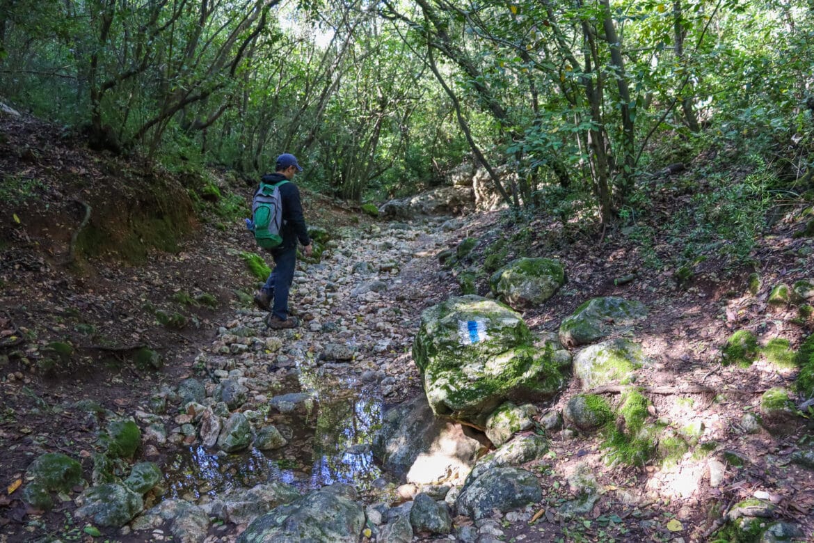 Through the Carmel Mountains – Kelah and Oren Riverbeds