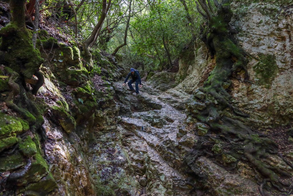 Carmel Mountains Hike