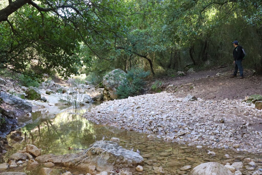 Carmel Mountains Hike