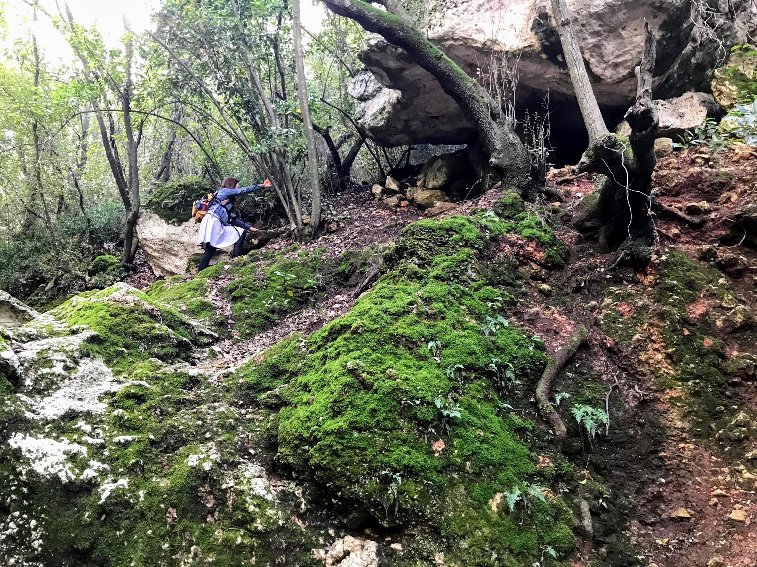 Carmel Mountains Hike