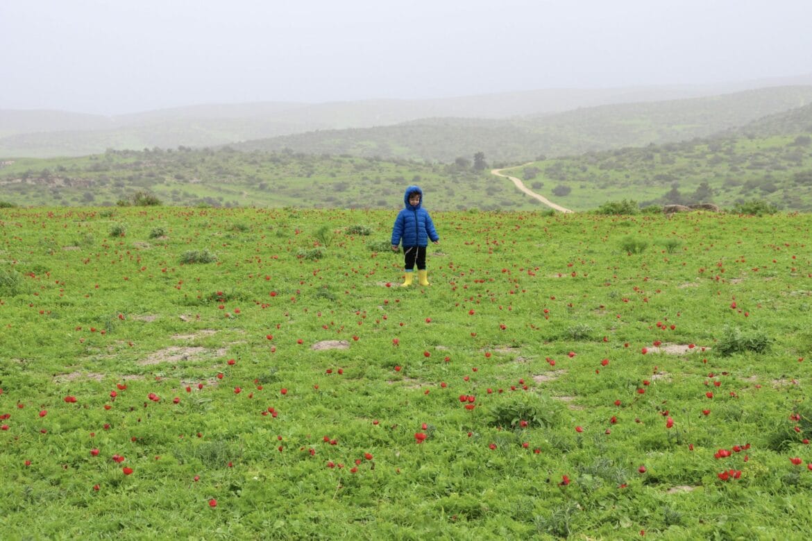 10 Off the Beaten Track Trails for Families