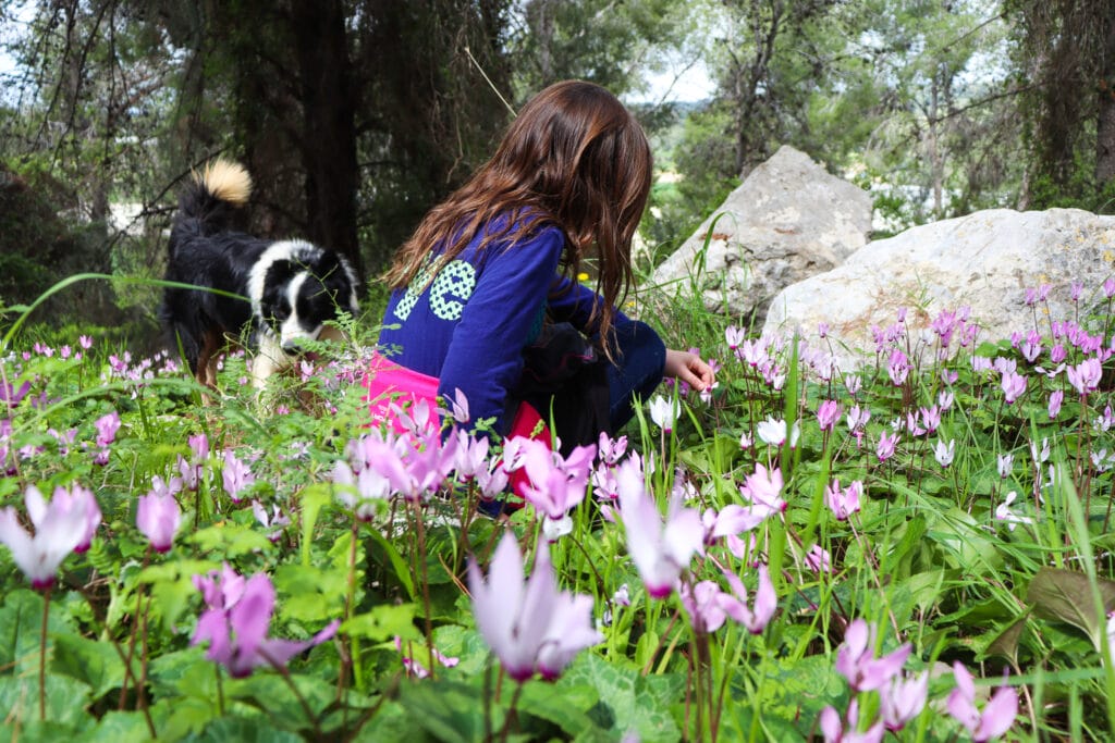 hike israel