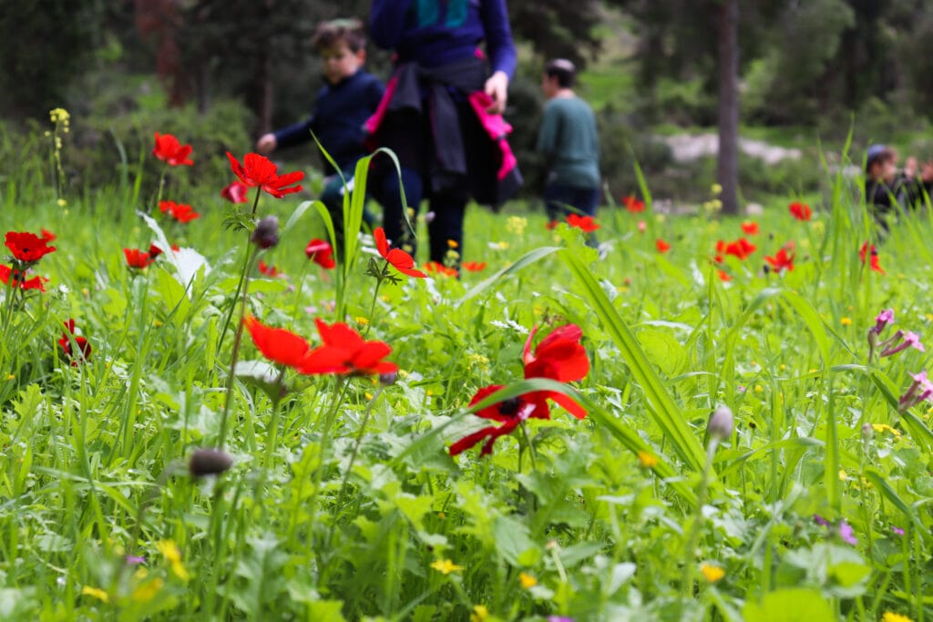 Tel Azeka hike