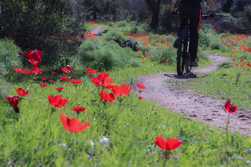 Park Canada - Ayalon Trail