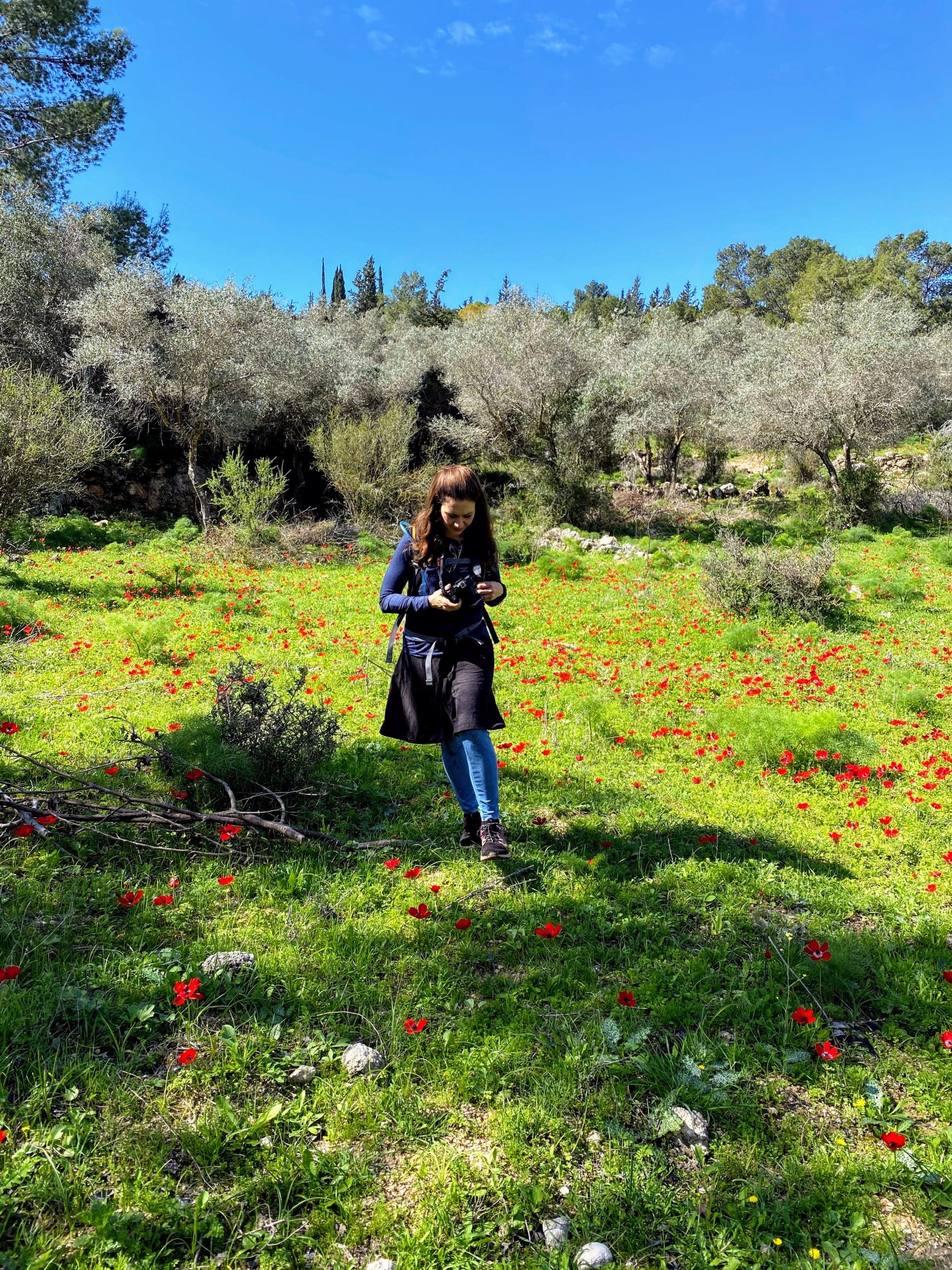 Park Canada - Ayalon Trail