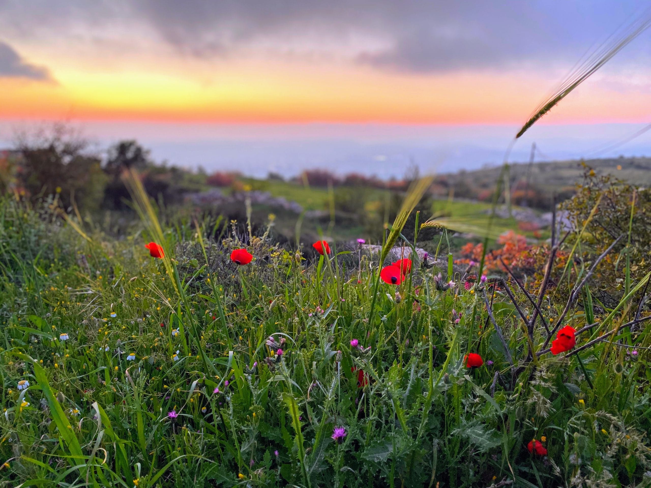 Sunset in Israel