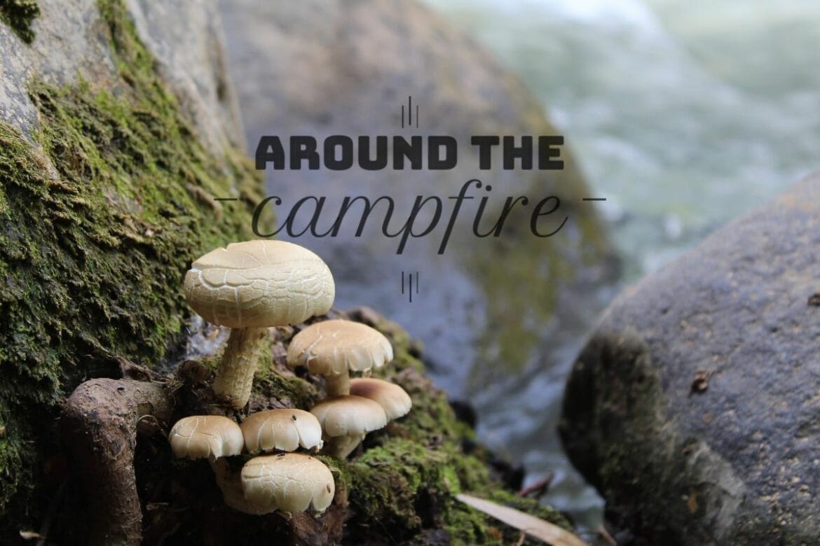 Around the Campfire – Weekly Hikes: Good for the Soul