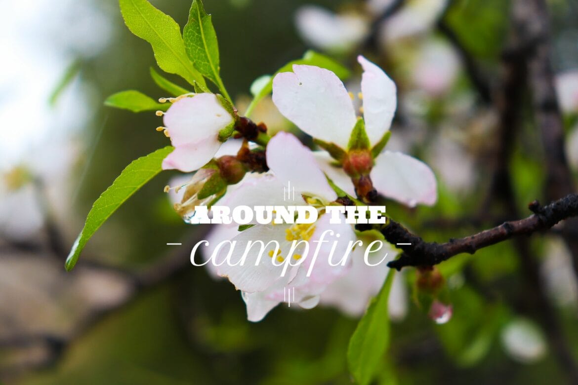 Around the Campfire – Know the Land of Israel