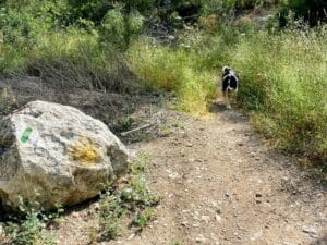 Zechariah Single Trail