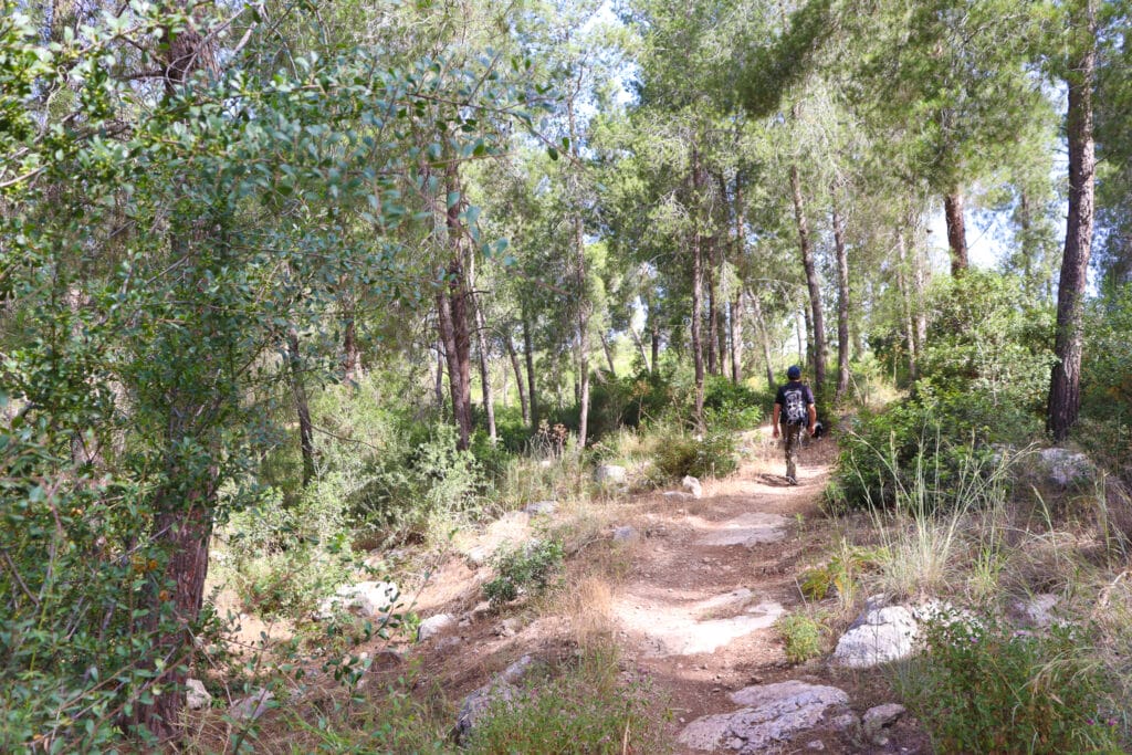 Yishi Forest Zechariah Single Trail