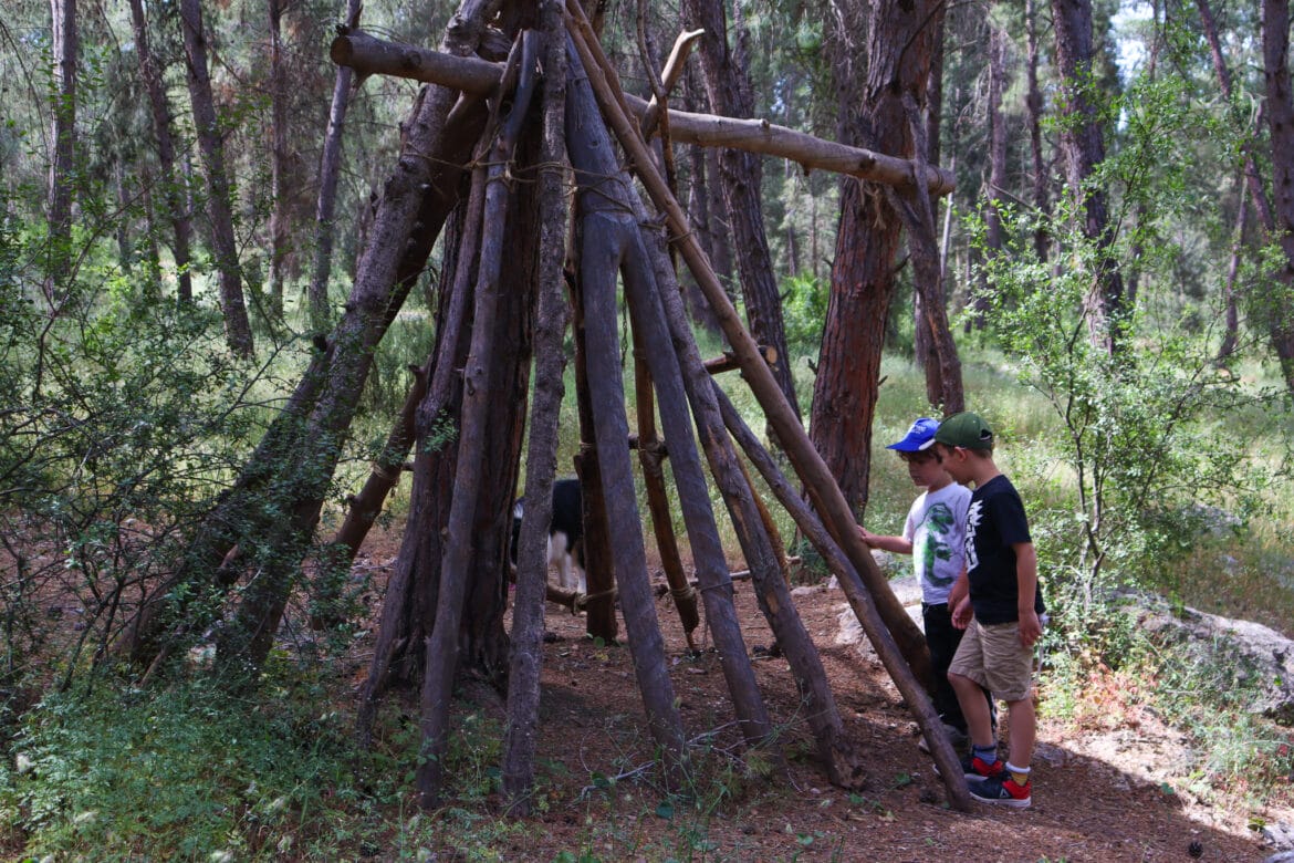 Get Your Feet Wet: HaMeginim Forest and Varda Spring