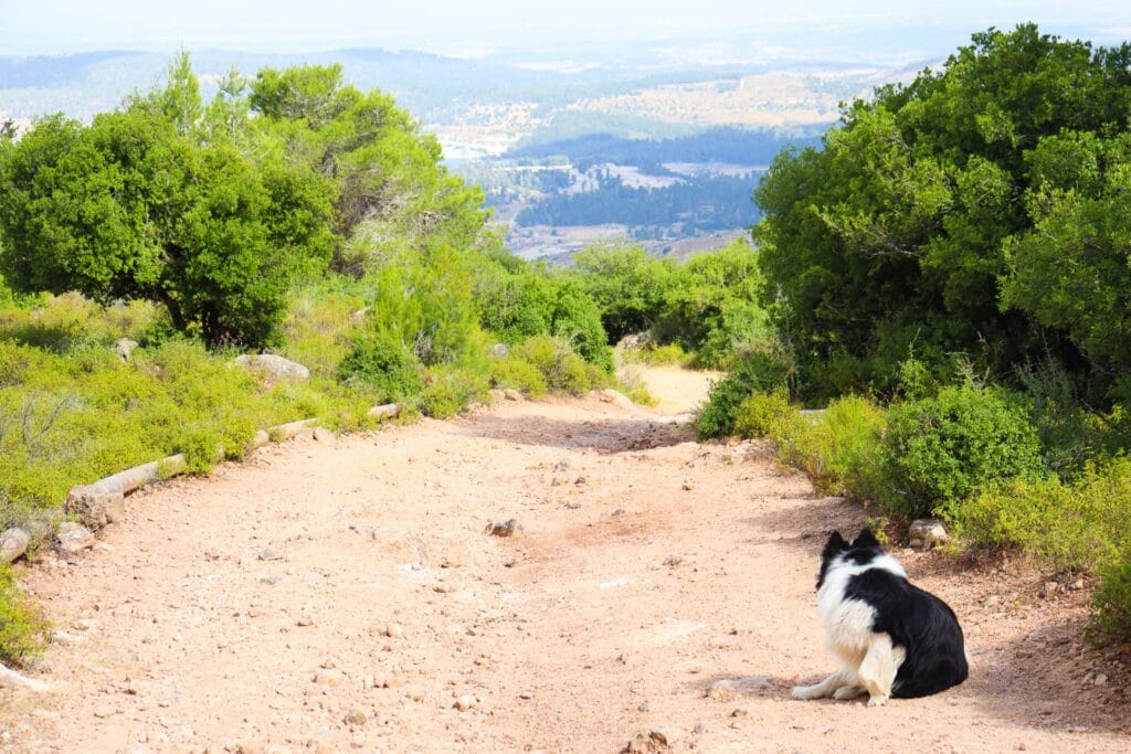 Maarat HaNetifim Har Yaale hike Netifim cave