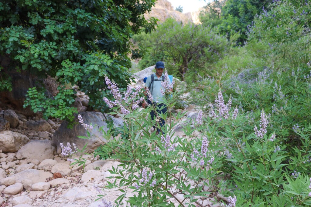 Yam El Yam Nahal Amud