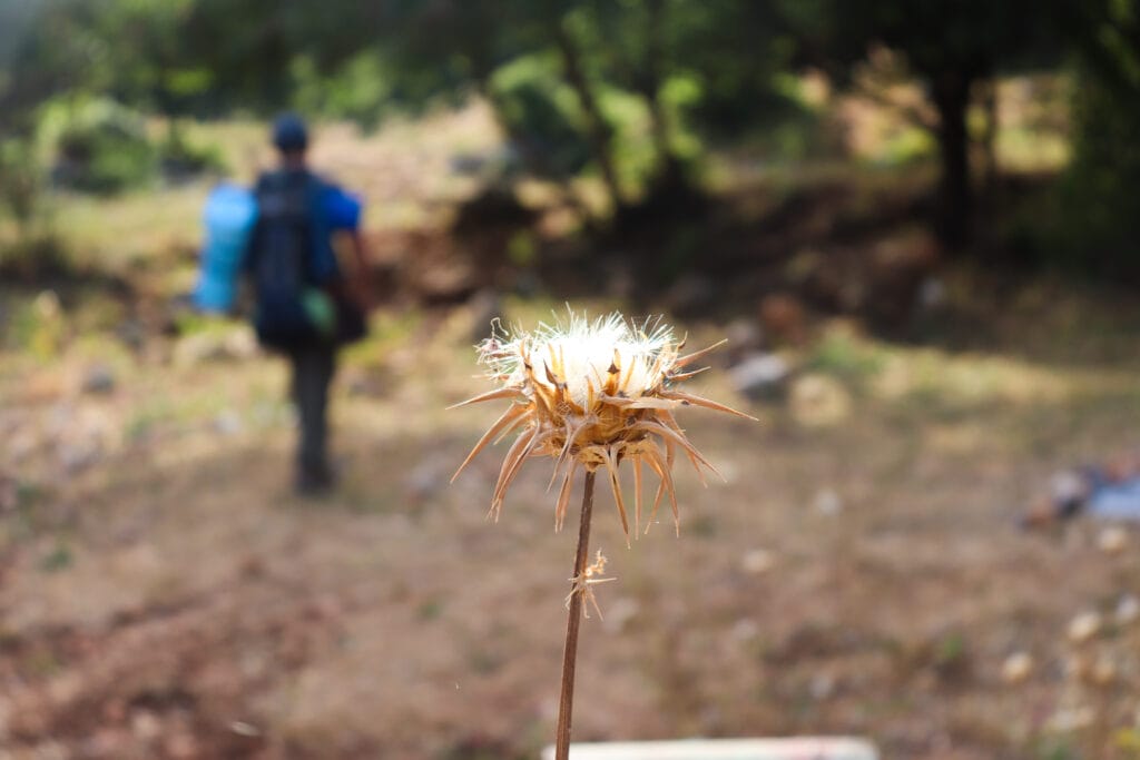 Meron hike yam el yam