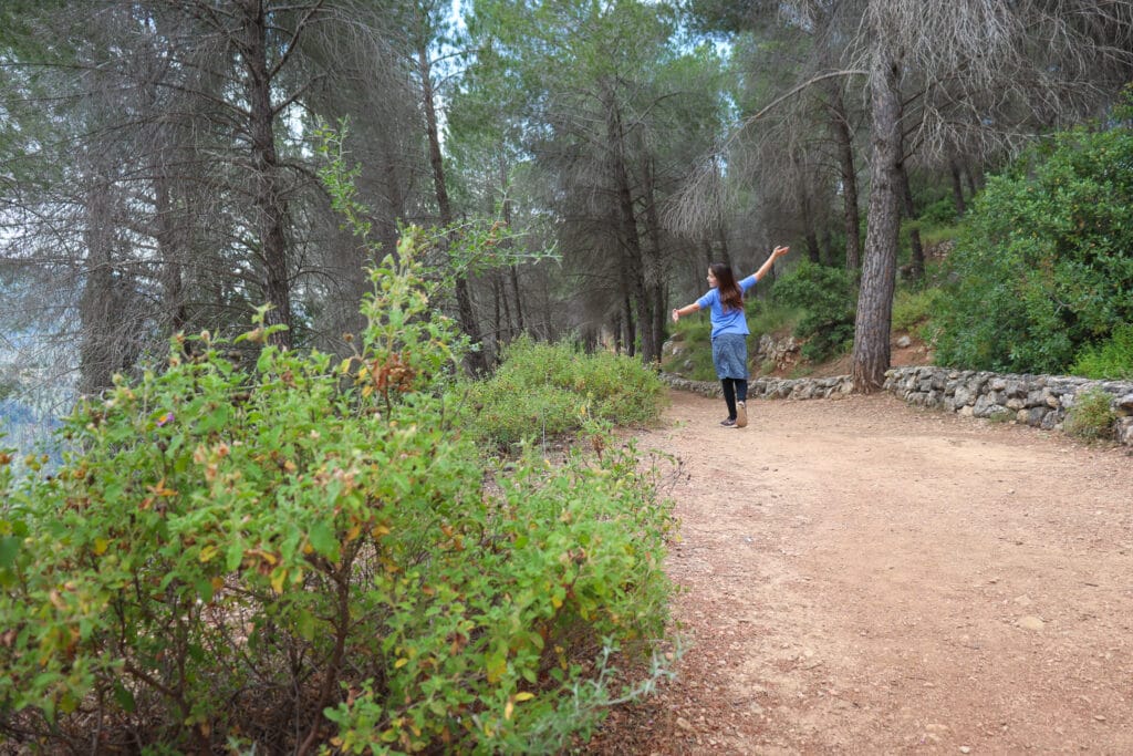 summer in Israel