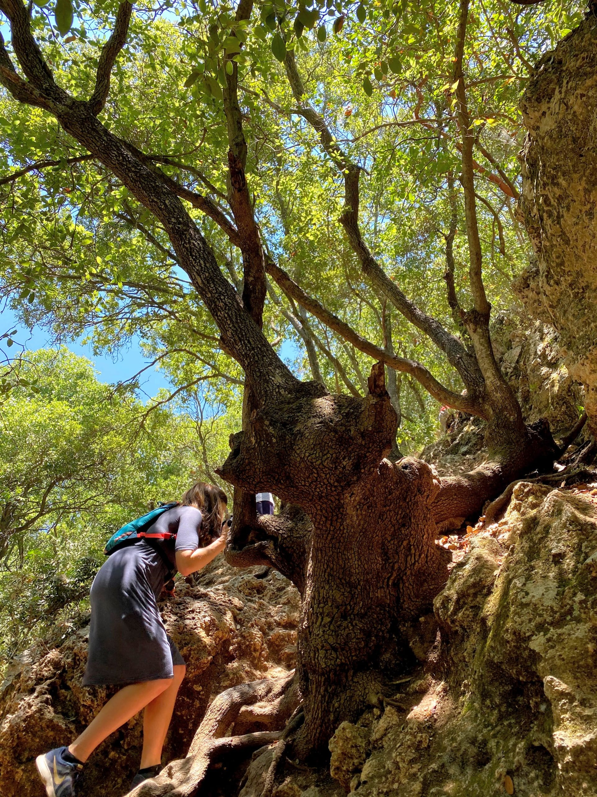 Little Switzerland hike Nahal Kelach