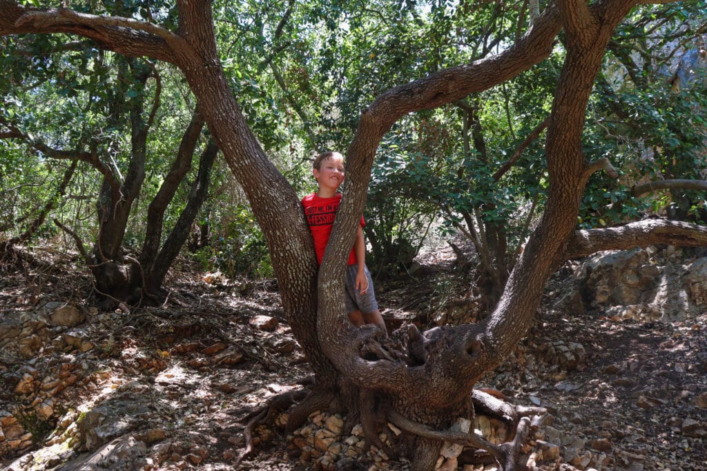 Little Switzerland hike Nahal Kelach