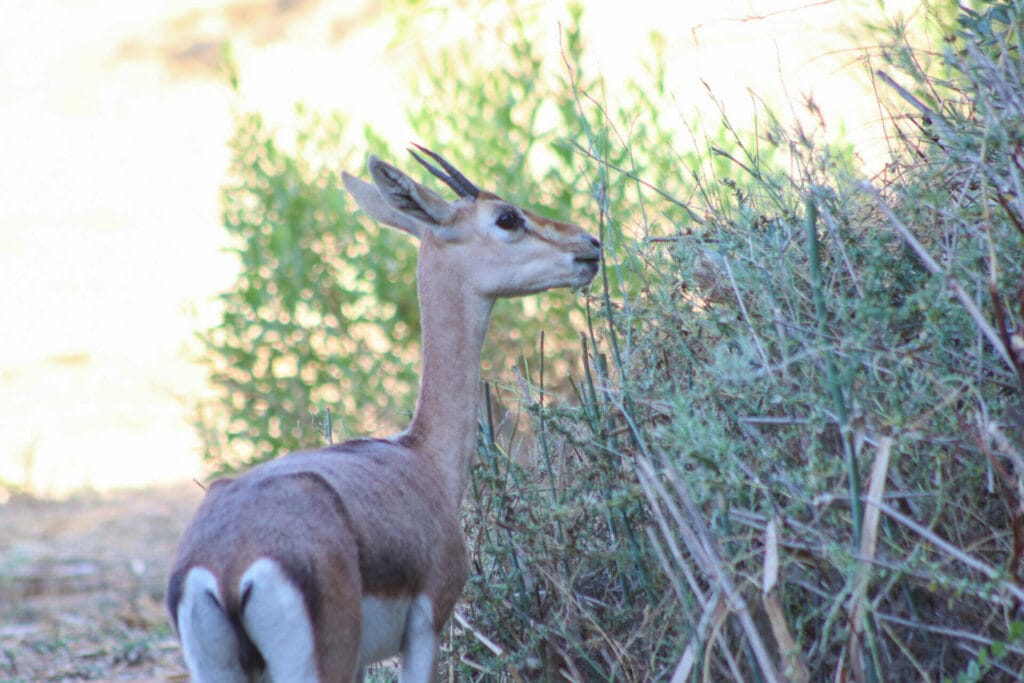 Israel kids hike