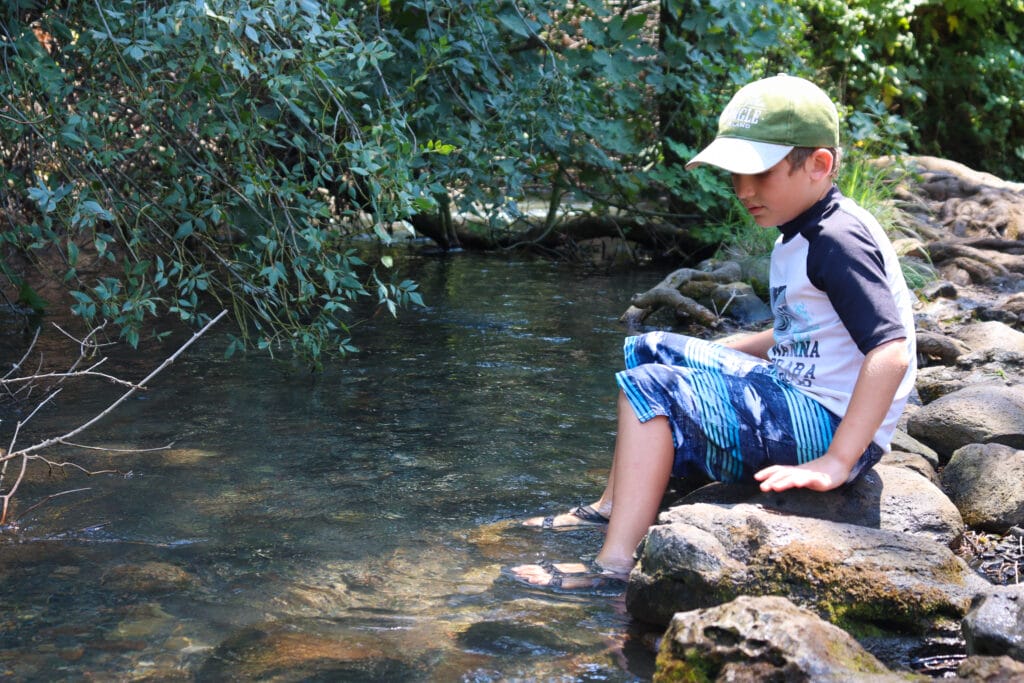 Accessible nature hikes.