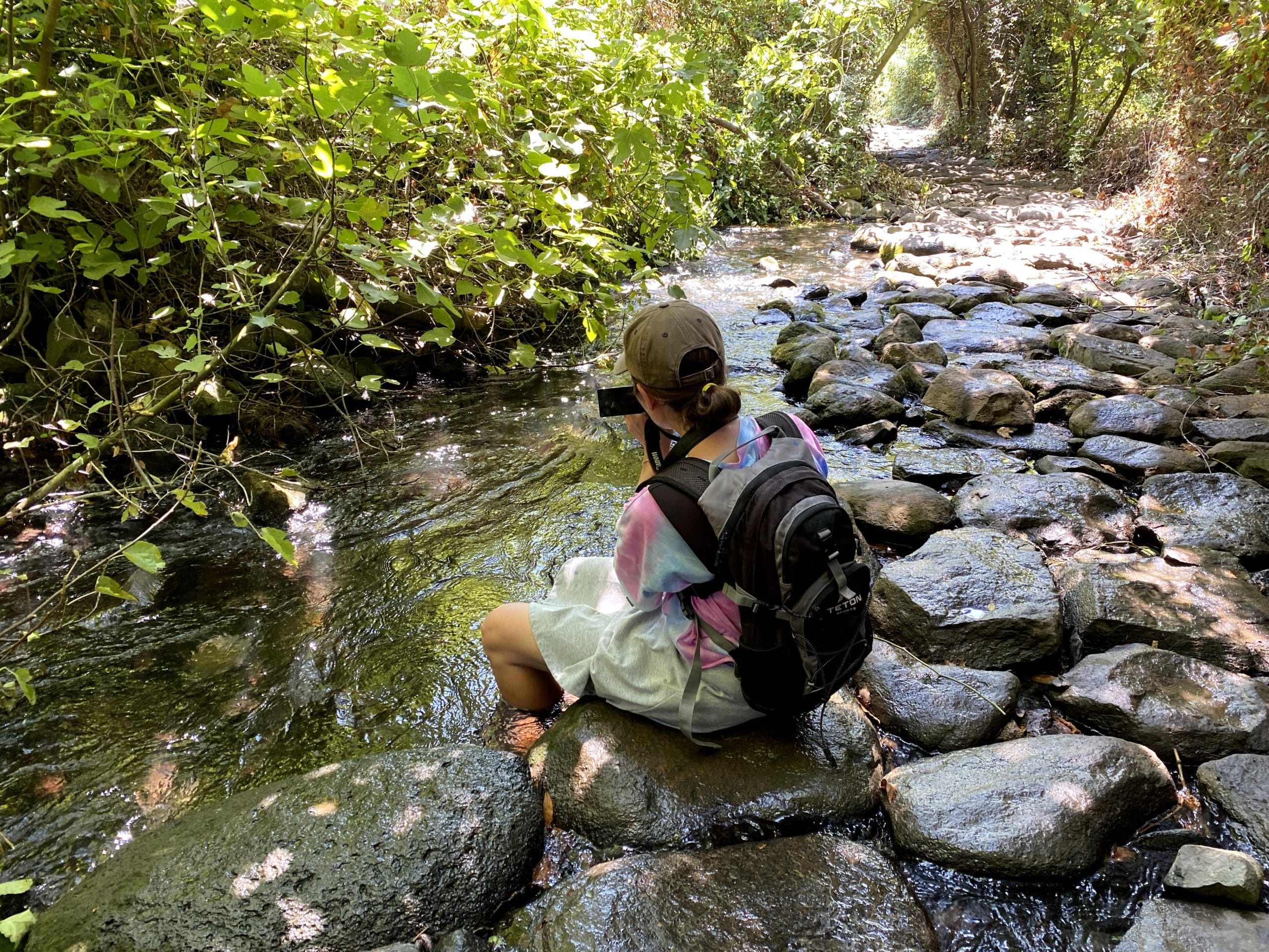 Tel Dan Nature Reserve