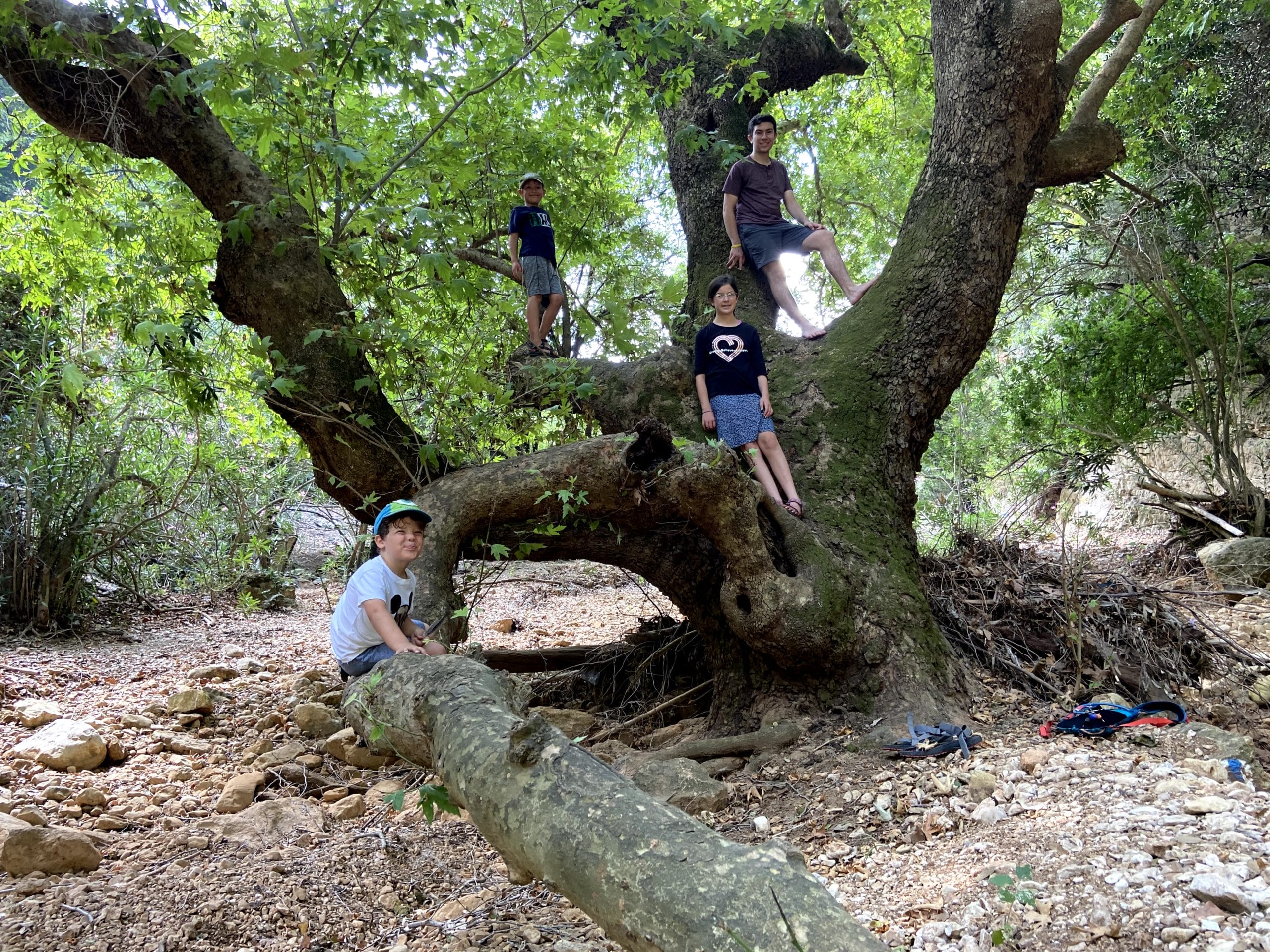 kids hiking