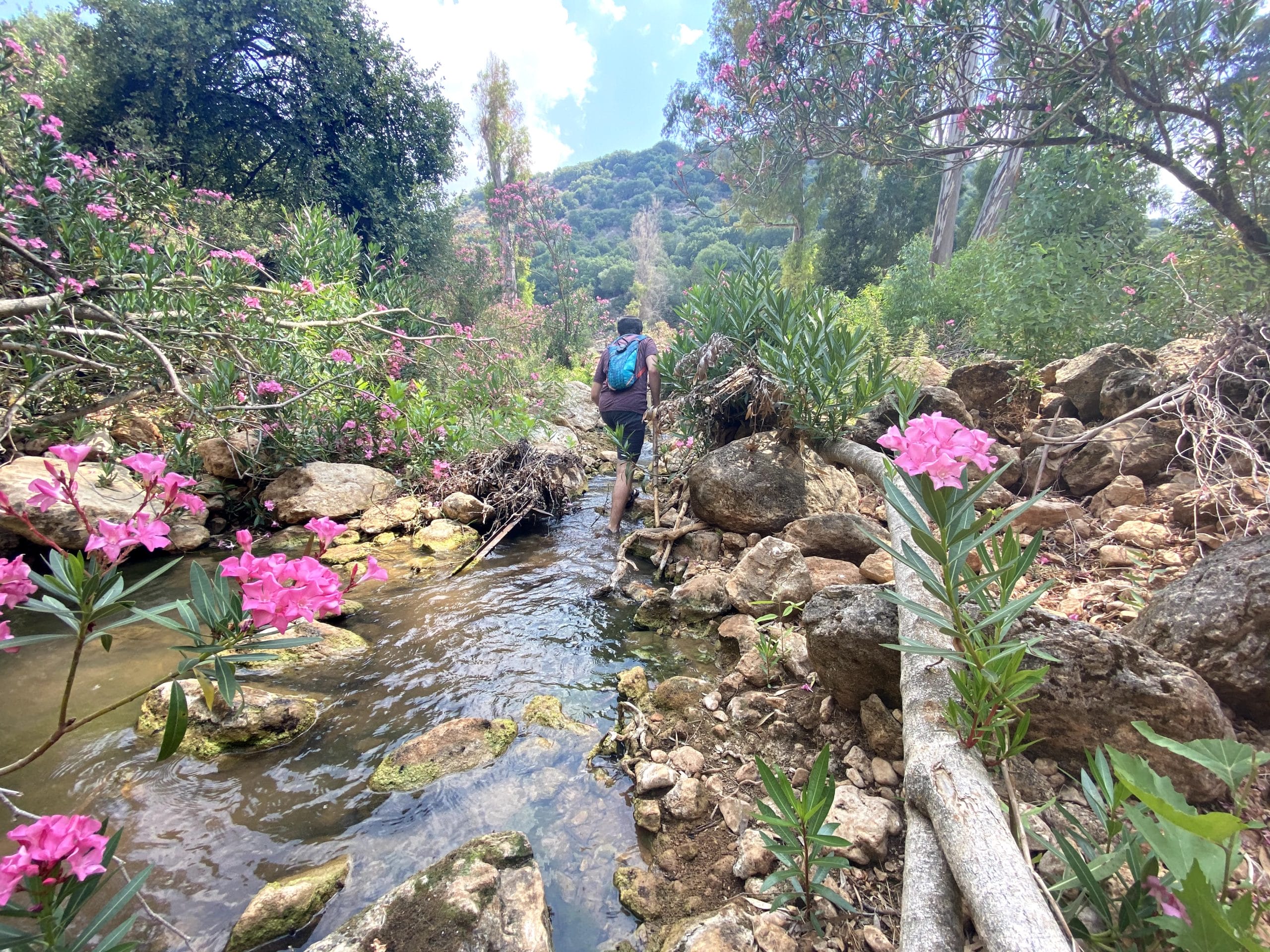 hikes for pesach vacation in israel