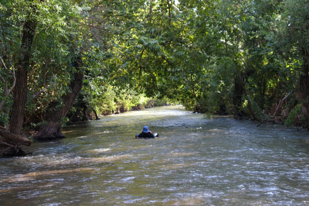 Banias hike.