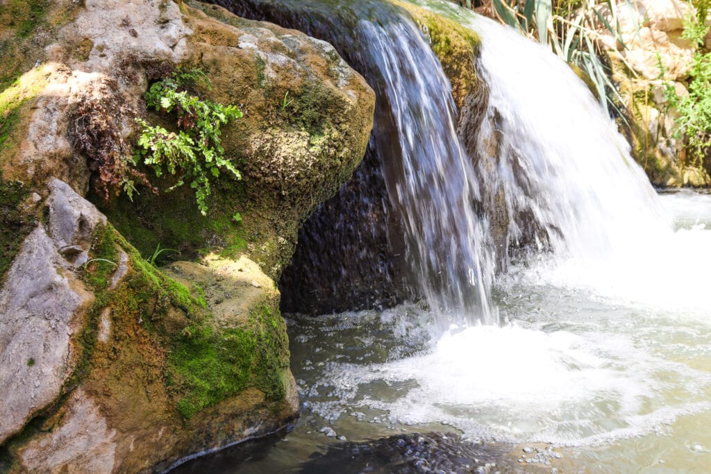 Shaharit Spring at Prat River